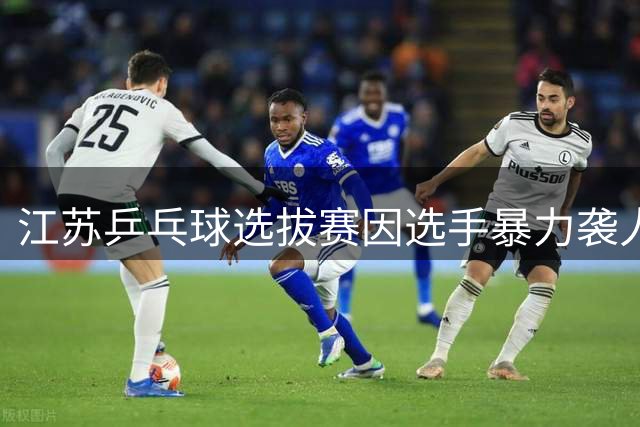 江苏乒乓球选拔赛因选手暴力袭人事件引热议