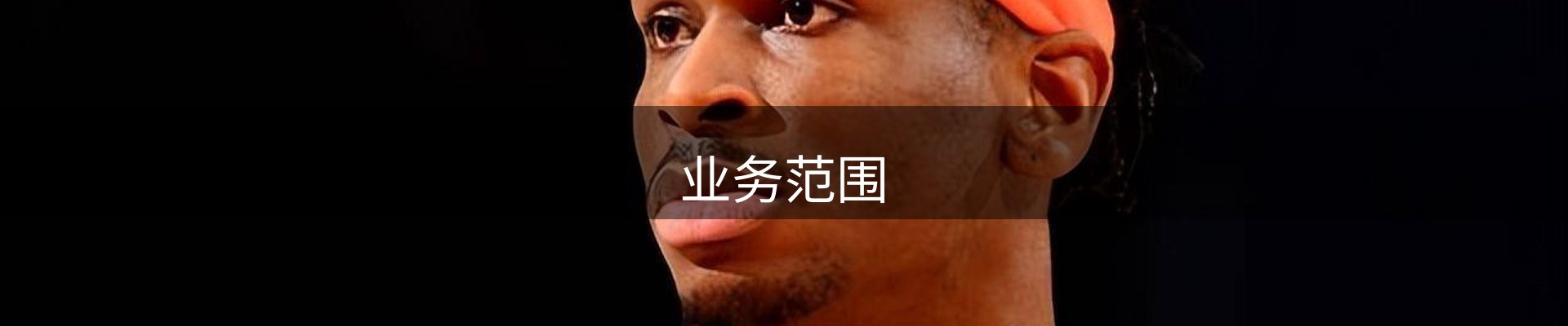 业务范围