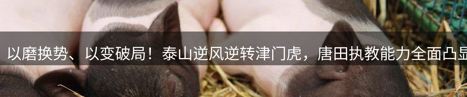 平台资讯