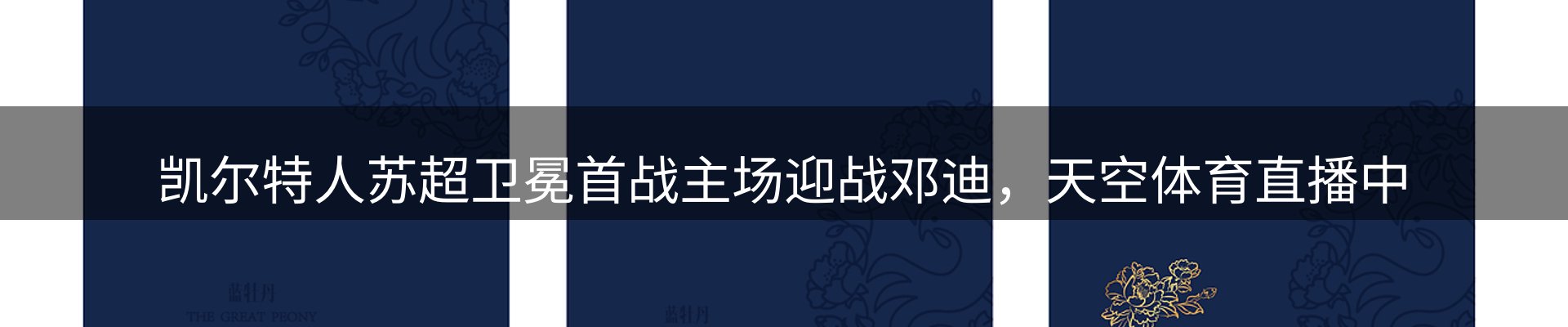 平台资讯