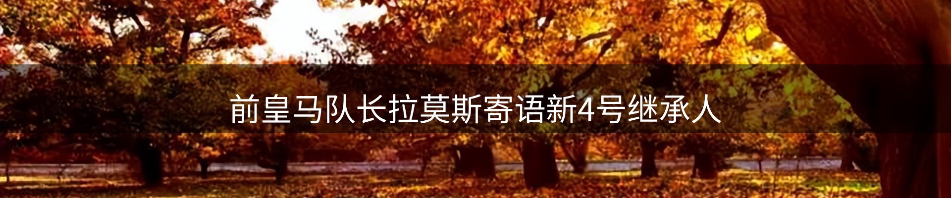 平台资讯