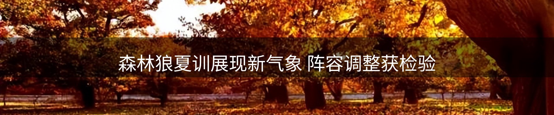 平台资讯