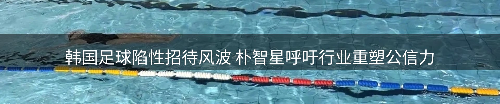 平台资讯
