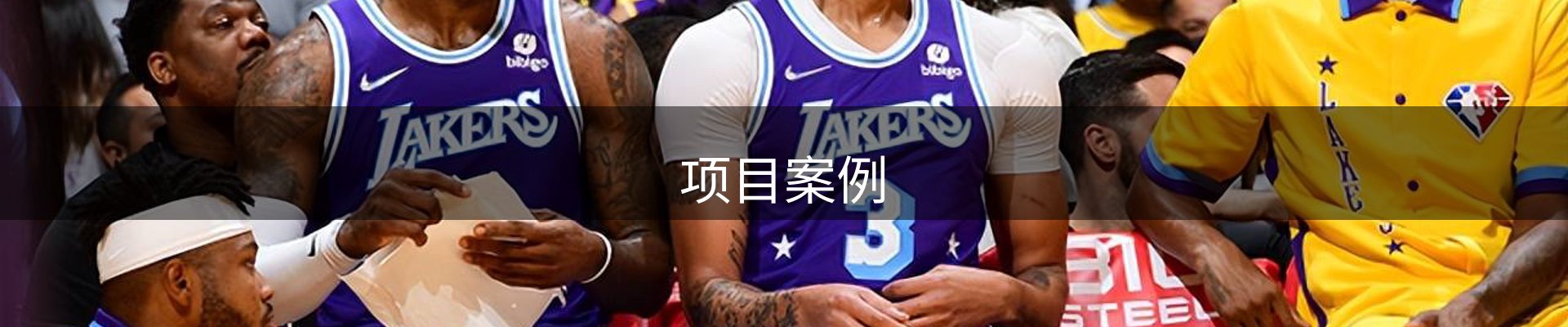 项目案例